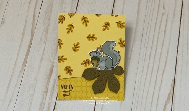 Facebook Live Thursday - Nuts About Squirrels - Inky Hands Warm Hearts